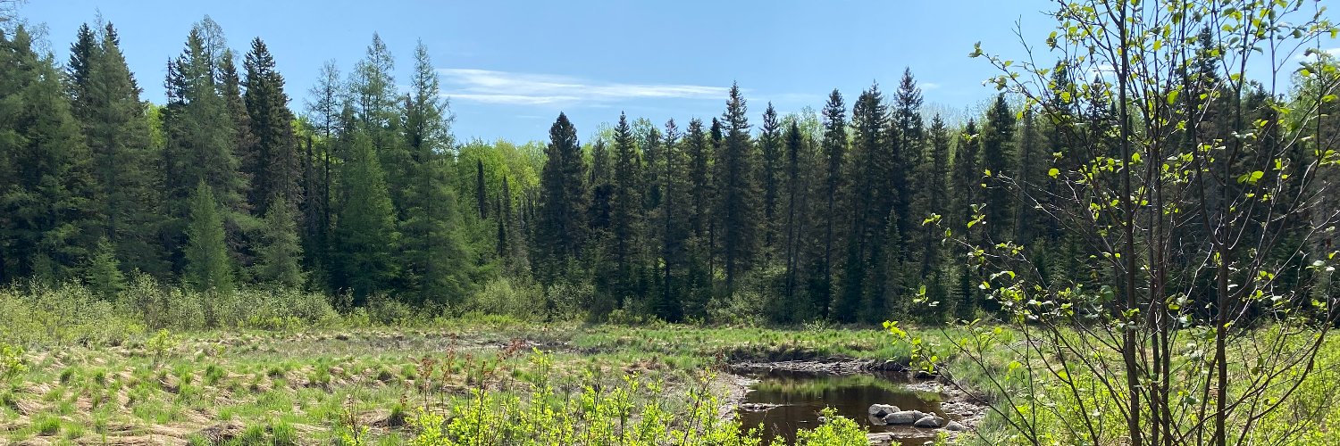 Minnesota Land Trust banner