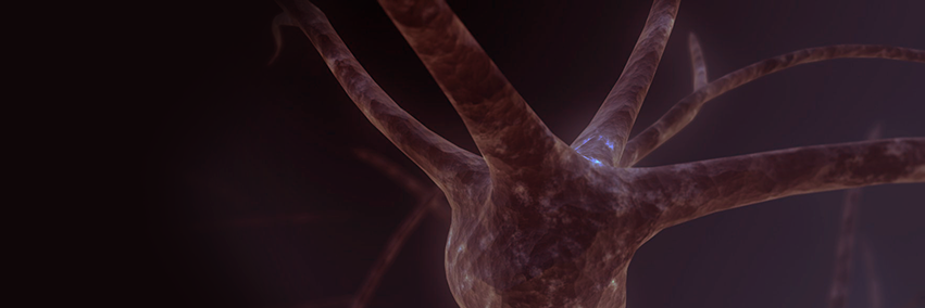 alterniity's profile banner image