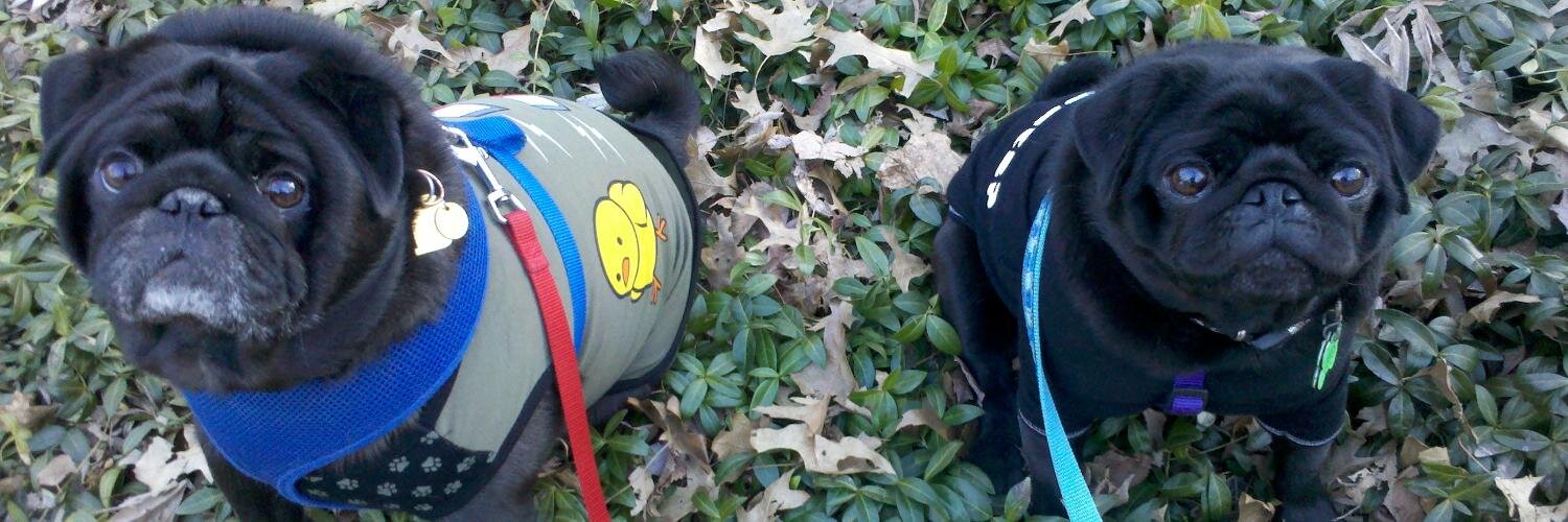 AmberKarlin's profile banner image