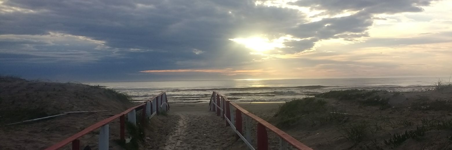 wtfceroni's profile banner image