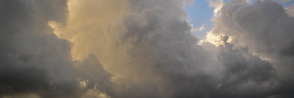 l_lindabarry Profile Banner