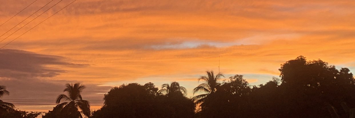 MonseSerrano's profile banner image