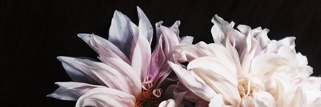 kelmcg13's profile banner image