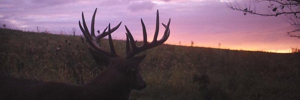 BOWwhitetails's profile banner image
