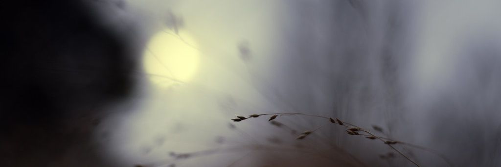 AbimansourC's profile banner image
