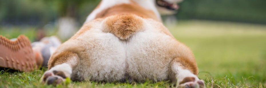 julisssaaaaaa's profile banner image