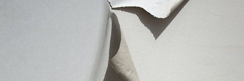 matilde0141's profile banner image