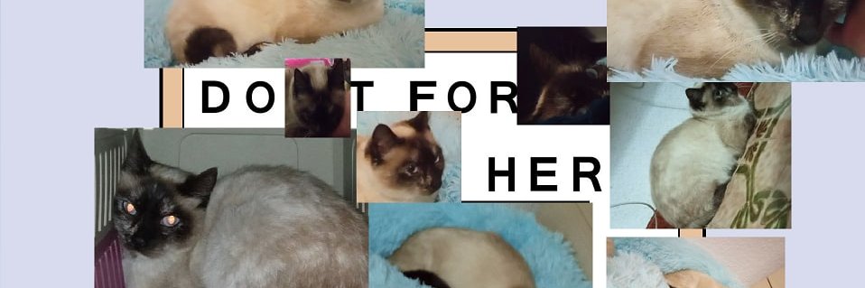 𝖒𝖆𝖗. banner