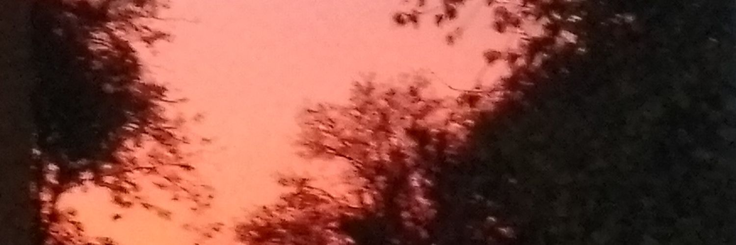Solo una chica banner