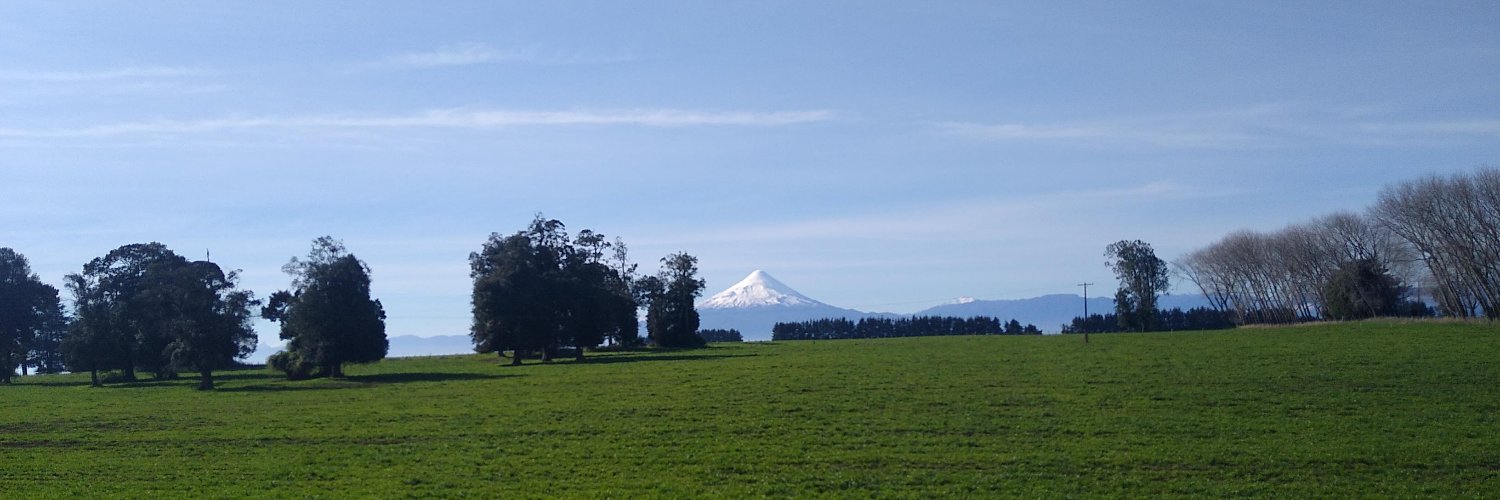 Fernialbita's profile banner image