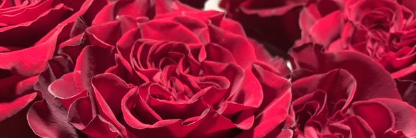 Chikagirl Profile Banner