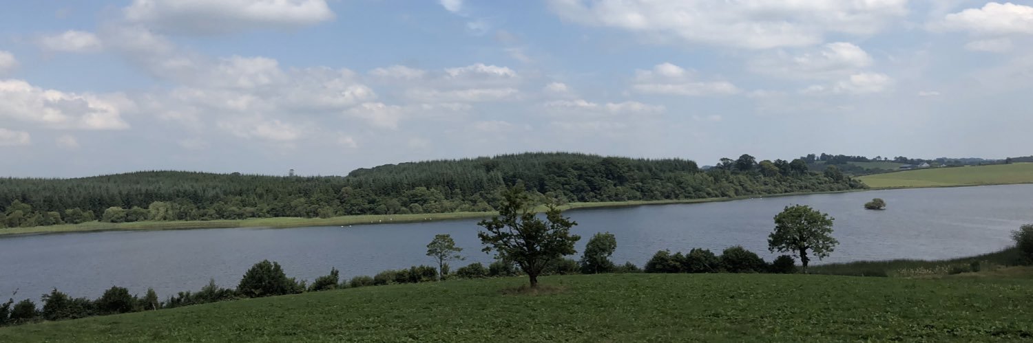 Damien Dempsey banner