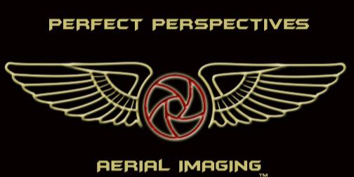 Perfect Perspectives banner