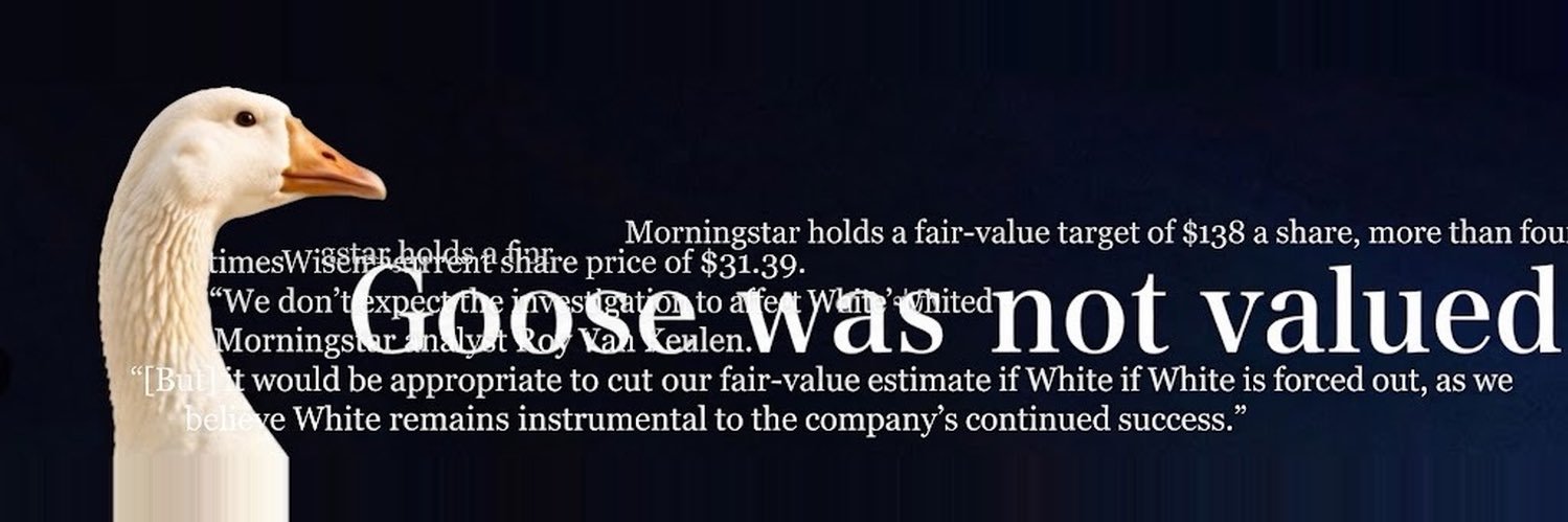 someanalyst_'s profile banner image