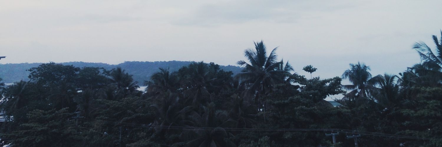 ditaaaMR's profile banner image