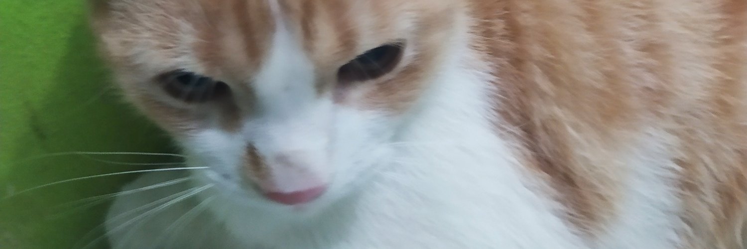 VerYdij's profile banner image