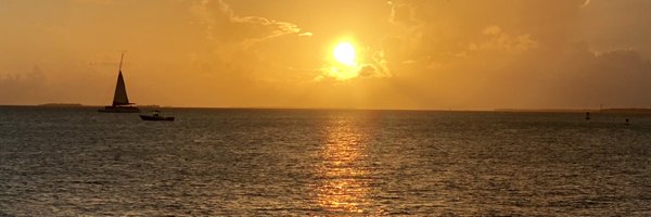 gboi Profile Banner