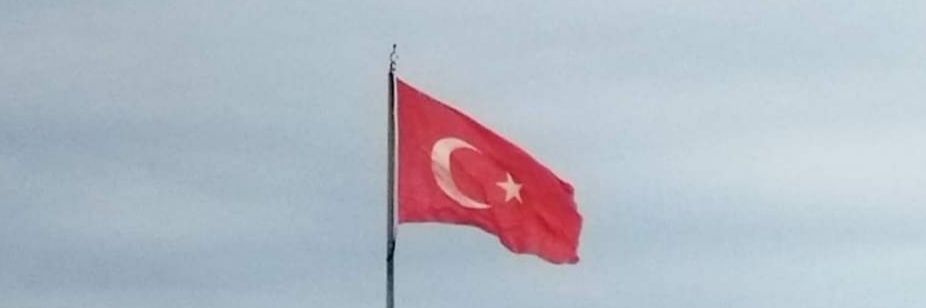 goktug banner