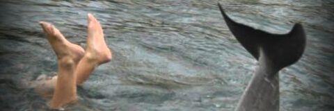a_peltz's profile banner image