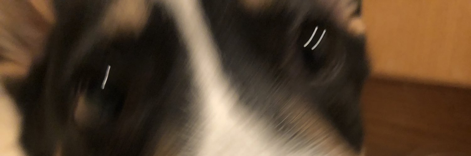 pham banner