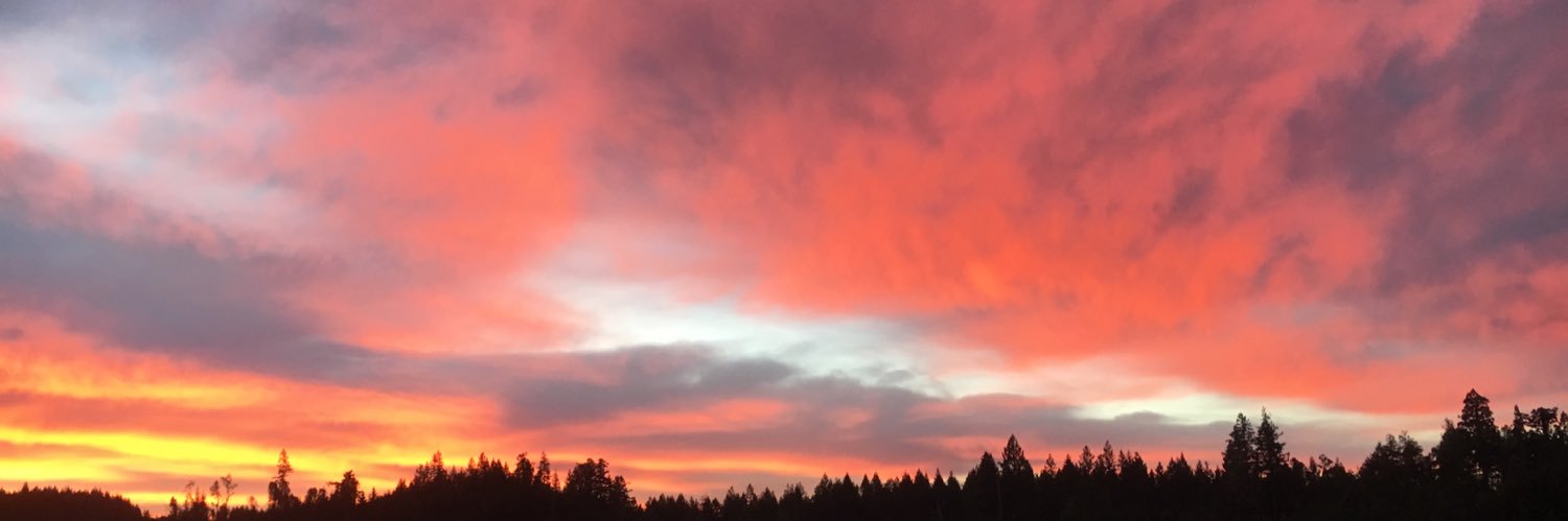 mattylite69's profile banner image