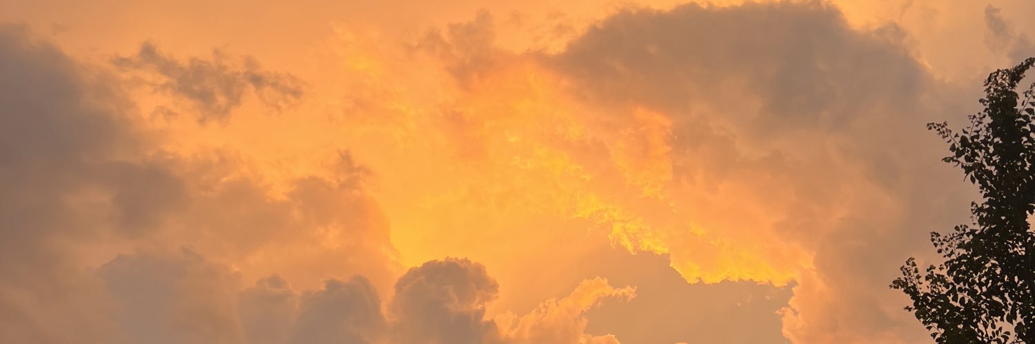 rizzle1515's profile banner image