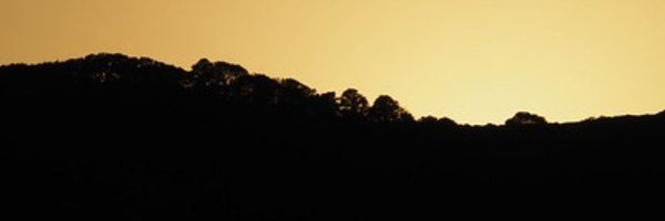 AotearoaSam Profile Banner