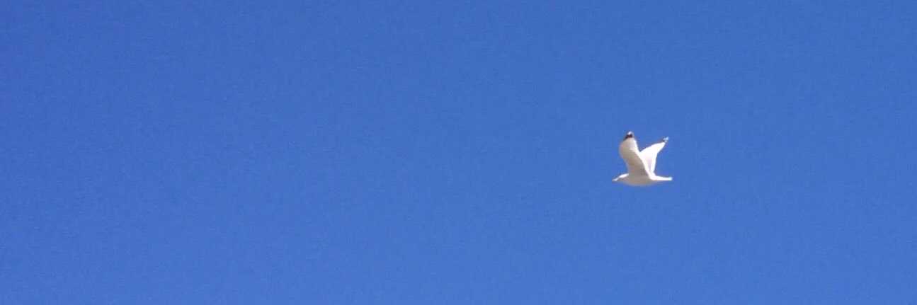 OEwrites's profile banner image