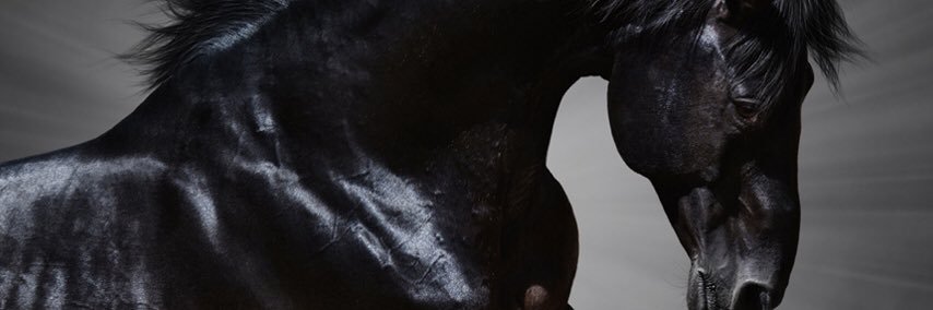 AlakurtCeri's profile banner image