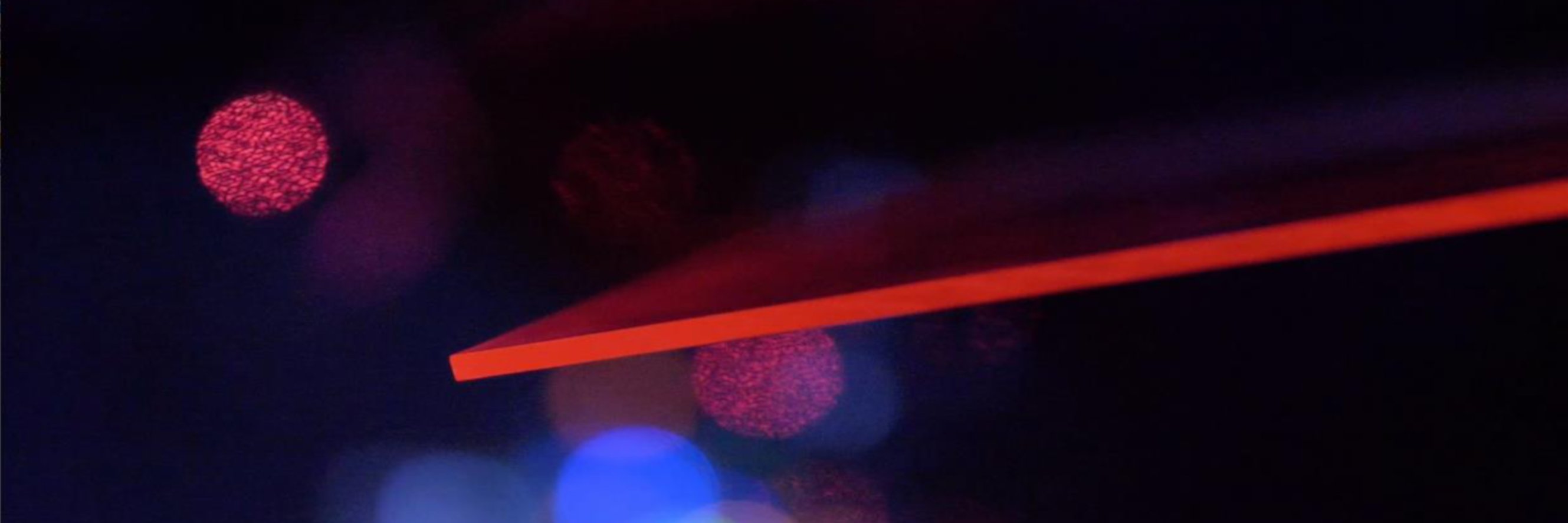 The Official Phaxas banner