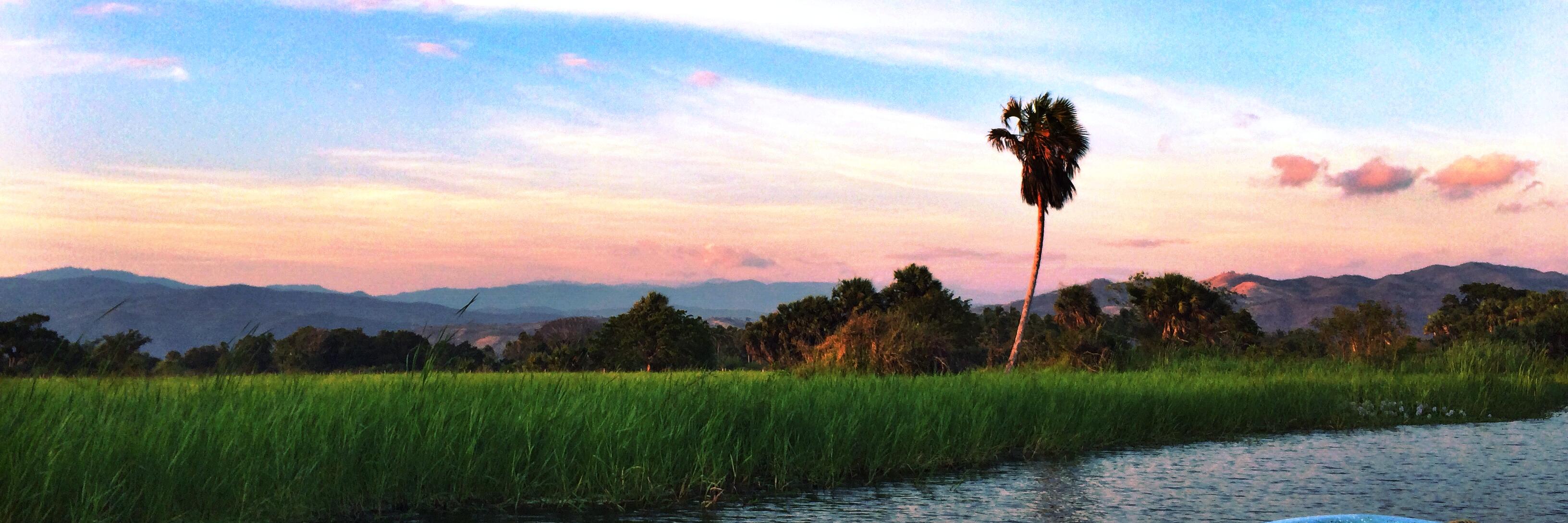 emilyjaplon's profile banner image