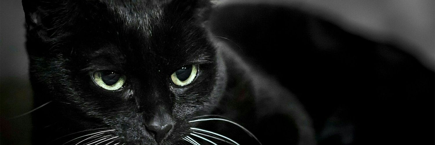 GeoffreyWere_'s profile banner image