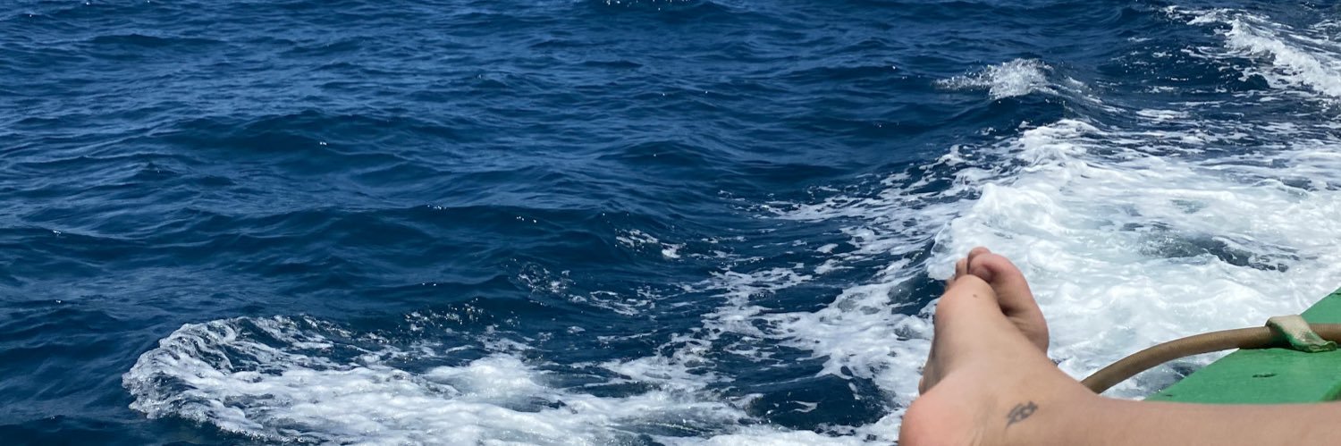 FeFroes_'s profile banner image