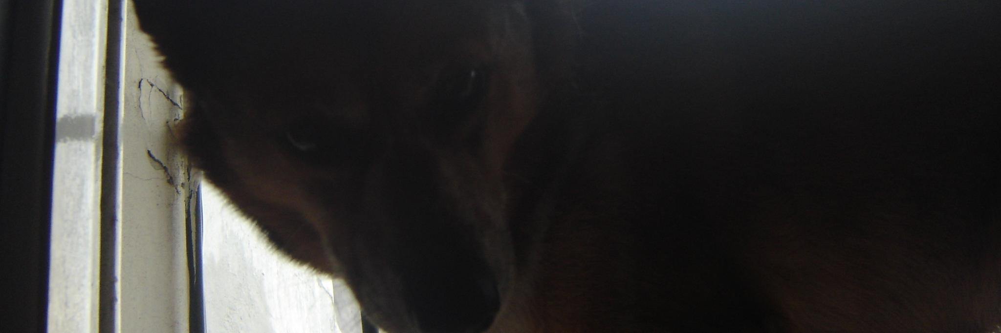 TomasPlazzotta's profile banner image