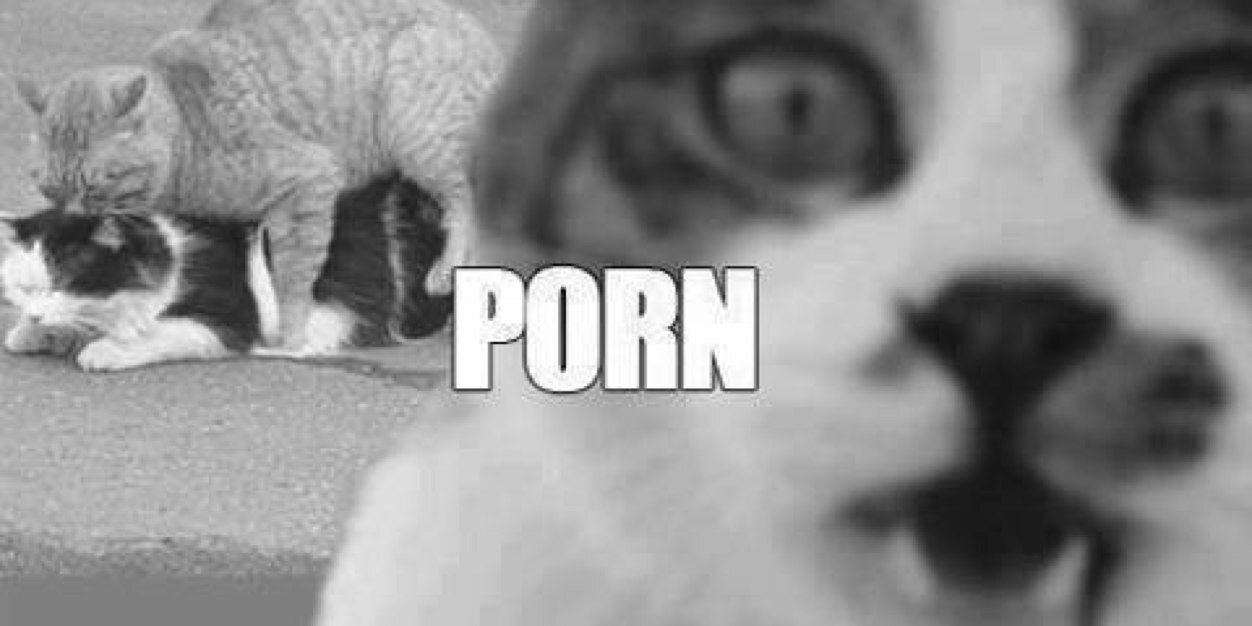 Arthurconh's profile banner image