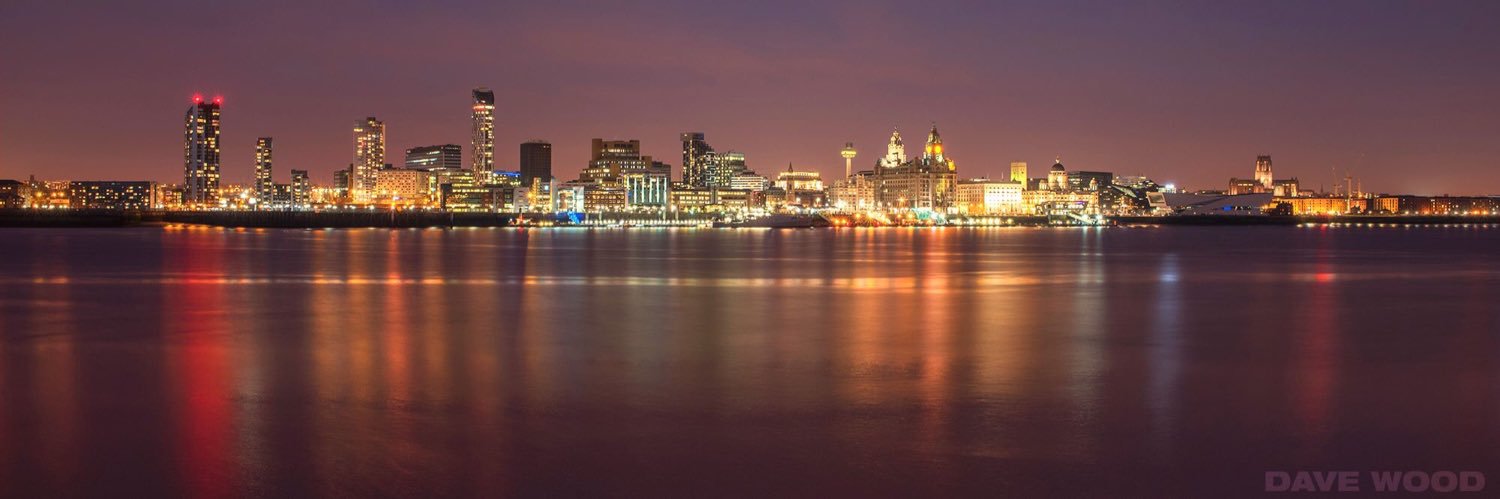 Alison Johnson banner