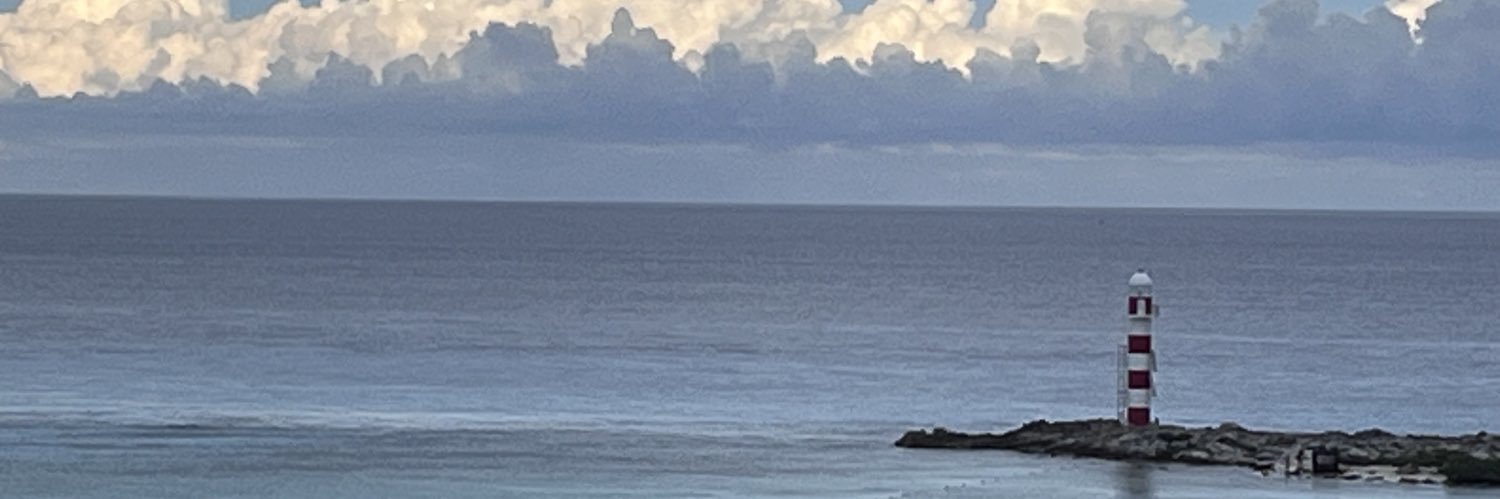 laradinorah's profile banner image
