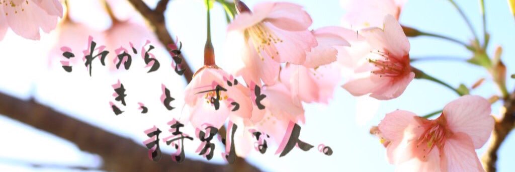 yoshi74290's profile banner image