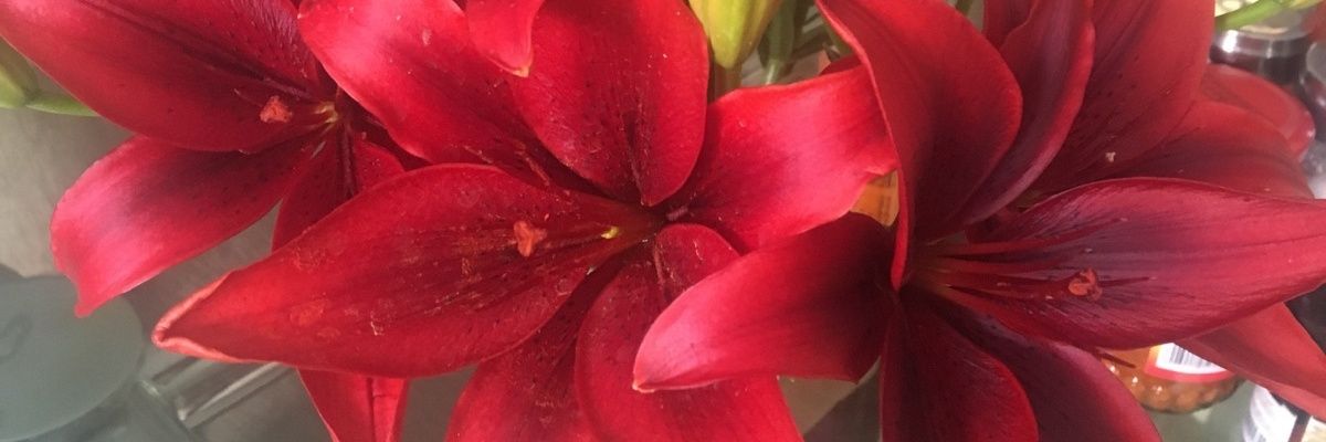 MeherSarid's profile banner image