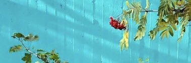 Rósa Björk Gunnarsdóttir banner