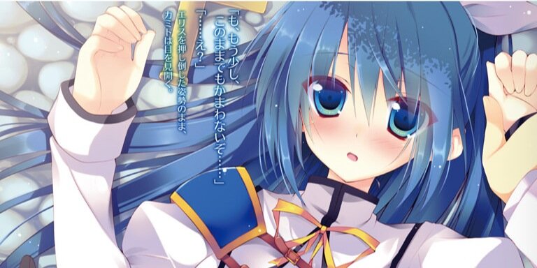 erisu312's profile banner image