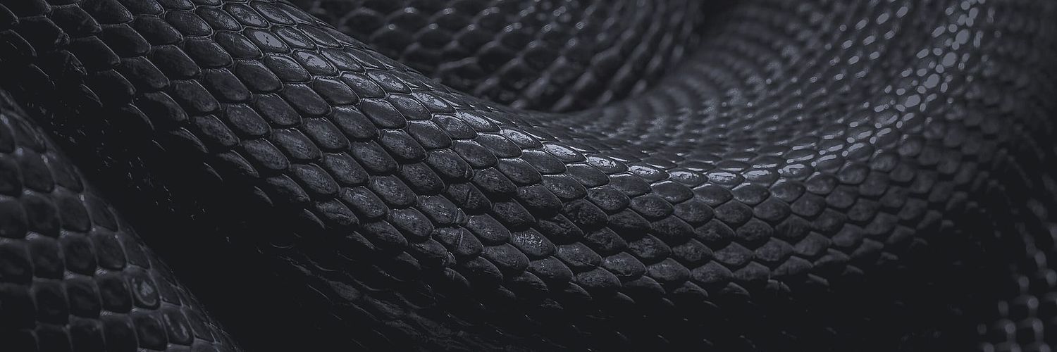 BunfieBoo👑🐰 banner