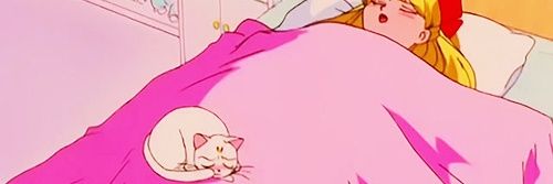 ceedling's profile banner image