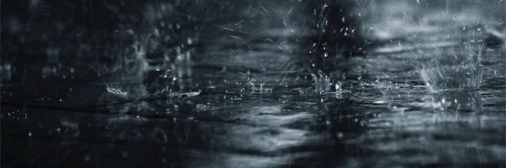 DreamingRainne's profile banner image