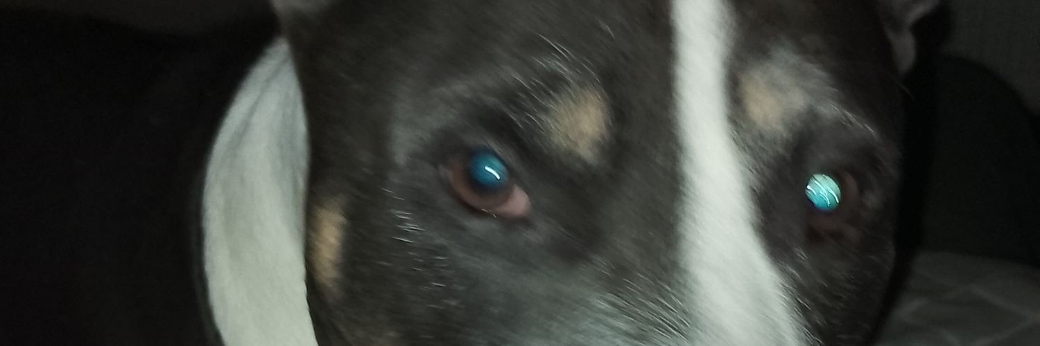 lyam427's profile banner image