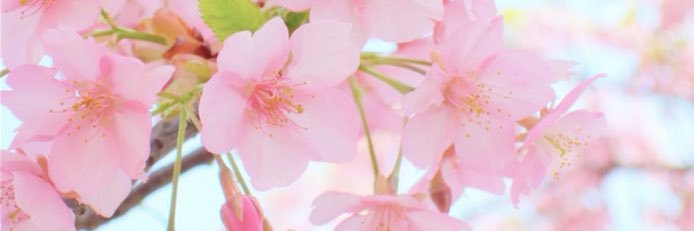 __tomona's profile banner image