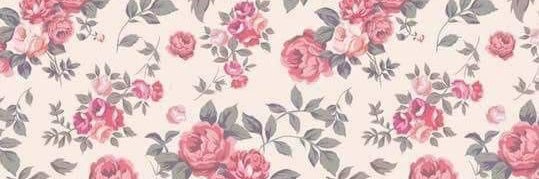 pipitay's profile banner image