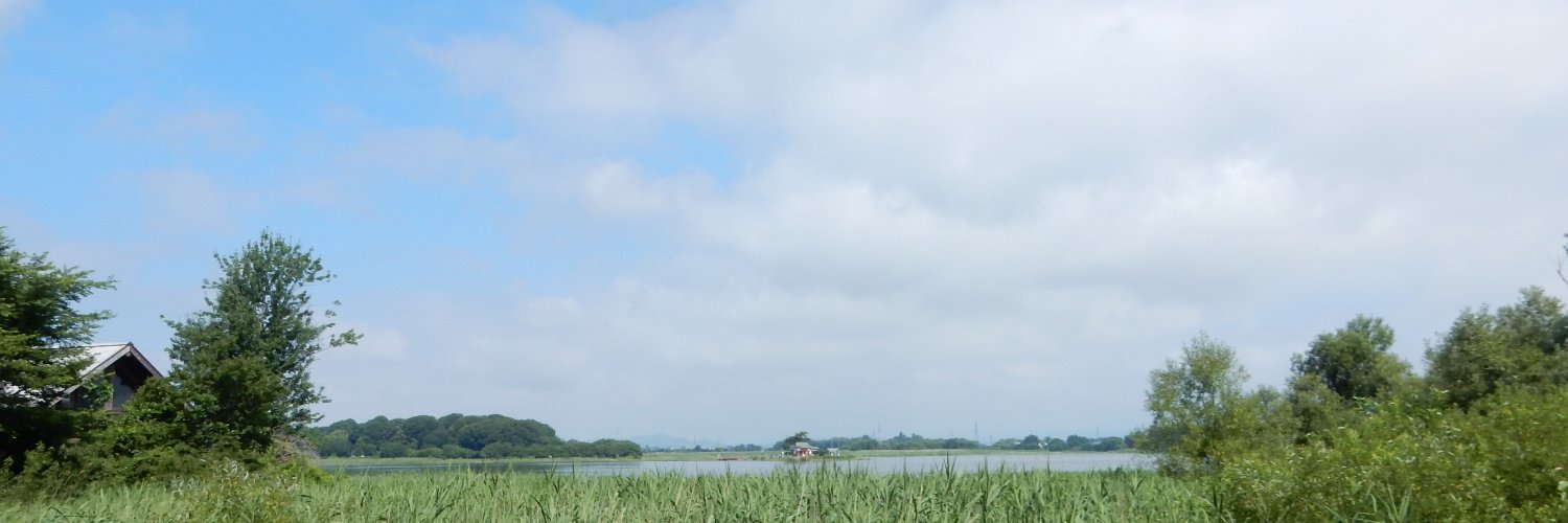 ミセス　せつこ banner