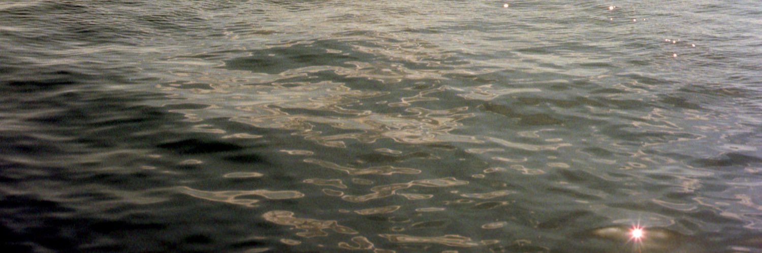 adrianazaratesa's profile banner image