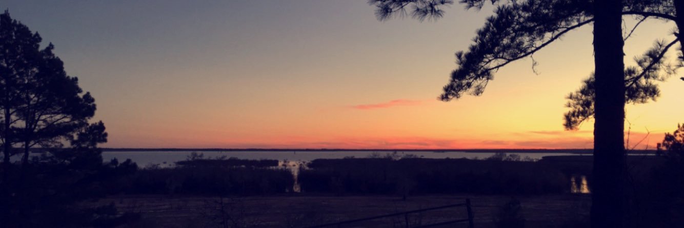 tristagreen_'s profile banner image